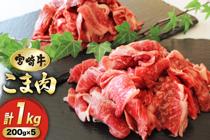 牛肉 宮崎牛 小間切れ 200g 5p 計1kg [マルミヤストア 宮崎県 美郷町 31ag0108] 小分け 国産 黒毛和牛 黒毛 和牛 BBQ