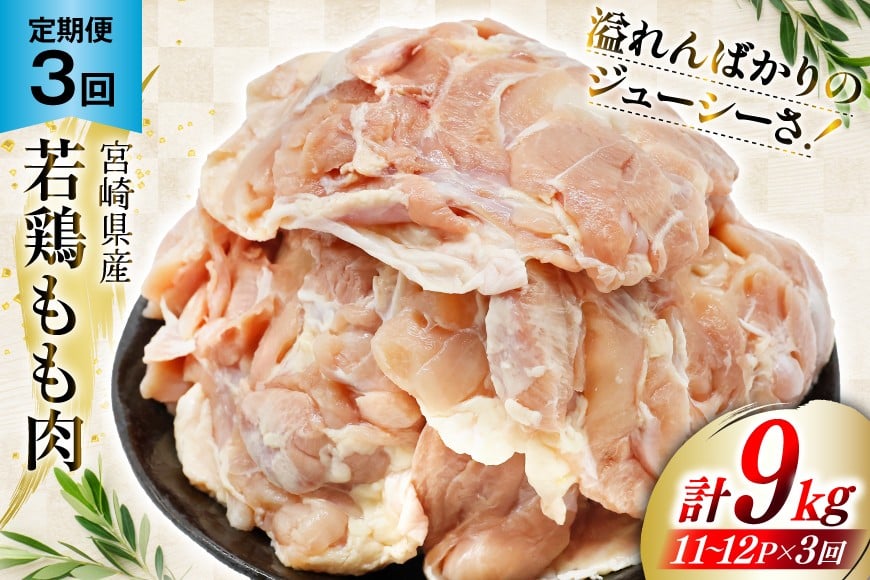 定期便 肉 鶏肉 3回定期便 若鶏もも身11～12パック 計3kg [九州児湯フーズ 宮崎県 美郷町 31aj0059] 冷凍 小分け 個包装  鶏もも肉 もも肉 モモ肉