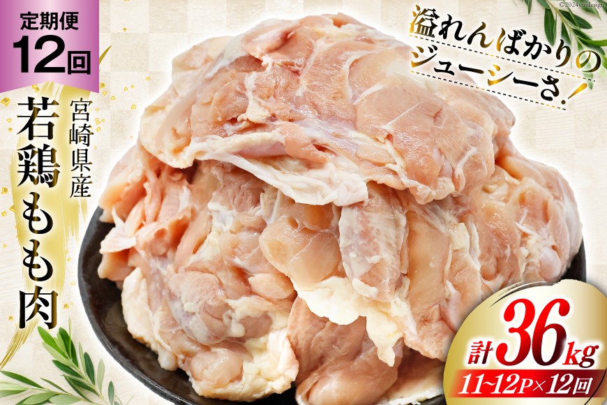 定期便 肉 鶏肉 12回定期便 若鶏もも身11～12パック 計3kg [九州児湯フーズ 宮崎県 美郷町 31aj0061] 冷凍 小分け 個包装  鶏もも肉 もも肉 モモ肉