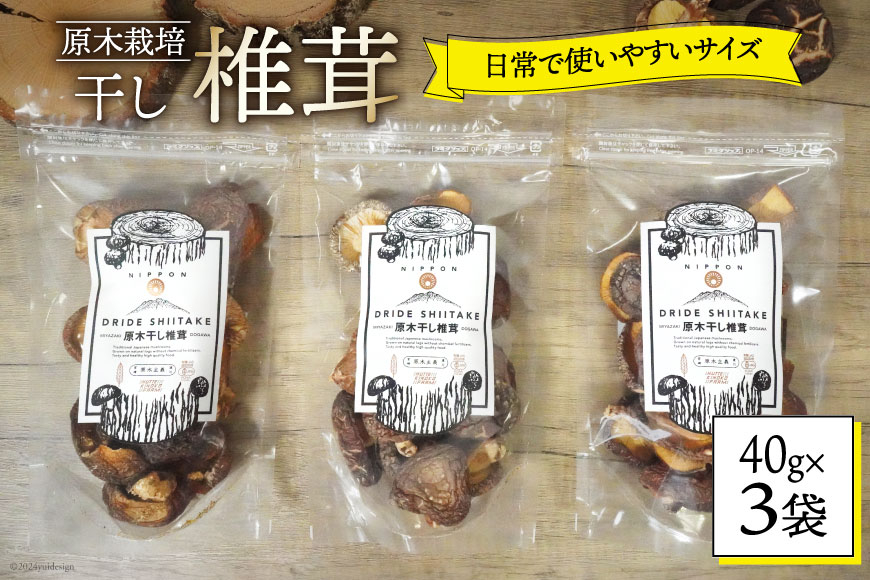 宮崎県産 乾燥 椎茸 40g×3袋 チャック袋入 [ HUTTE 宮崎県 美郷町 31ao0012] 干ししいたけ 出汁 オーガニック 原木栽培 有機JAS認証 料理 調理 小分け 常温 渡川 アヒージョ 煮物 煮付け おかず おこわ 鍋 みそ汁 炒め物 うどん そば スープ パスタ リゾット 春巻き 数量限定