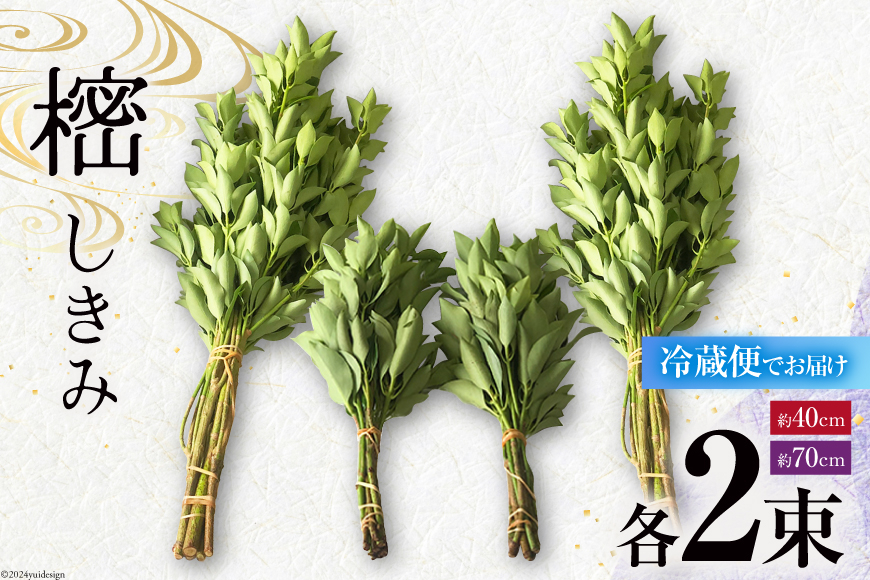 しきみ しきび 4束 セット 70cm 40cm 各2束 [中村しきみ園 宮崎県 美郷町 31ay0003] 樒 シキミ 彼岸 お墓 おしきみ お彼岸 墓参り 宮崎県産 産 冷蔵便