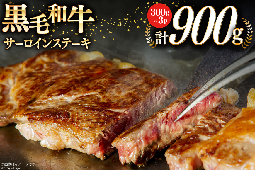 宮崎県産 黒毛和牛 サーロイン ステーキ 300g×3 計900g [サンアグリフーズ 宮崎県 美郷町 31ba0026] 小分け 冷凍 送料無料 国産 牛 肉 霜降り BBQ バーベキュー キャンプ 真空包装 スペース 収納 サシ がっつり 脂