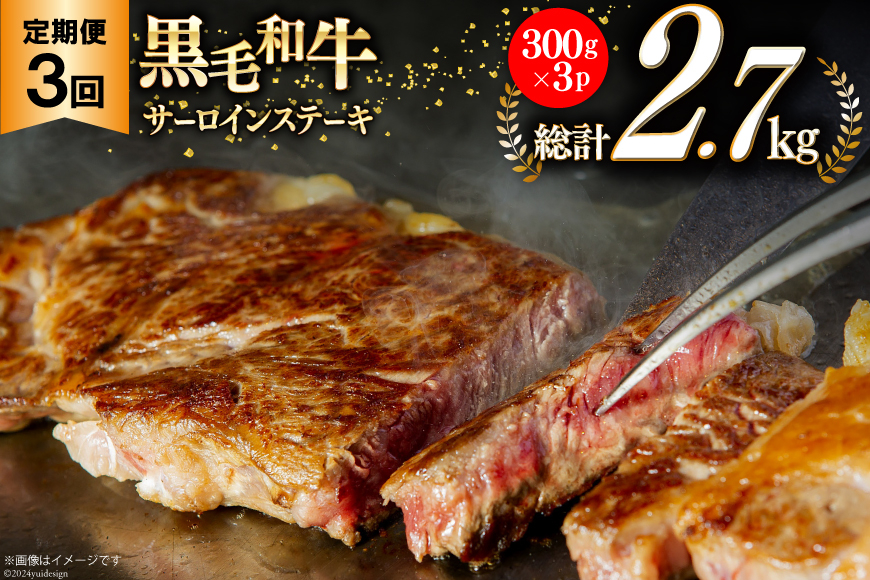 3回 定期便 宮崎県産 黒毛和牛 サーロイン ステーキ 300g ×3×3ヶ月 合計2.7kg [サンアグリフーズ 宮崎県 美郷町 31ba0032] 小分け 冷凍 送料無料 国産 牛 肉 霜降り BBQ バーベキュー キャンプ 真空包装 スペース 収納 サシ がっつり 脂