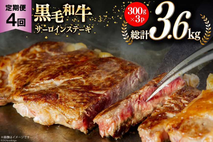 4回 定期便 宮崎県産 黒毛和牛 サーロイン ステーキ 300g ×3×4ヶ月 合計3.6kg [サンアグリフーズ 宮崎県 美郷町 31ba0033] 小分け 冷凍 送料無料 国産 牛 肉 霜降り BBQ バーベキュー キャンプ 真空包装 スペース 収納 サシ がっつり 脂