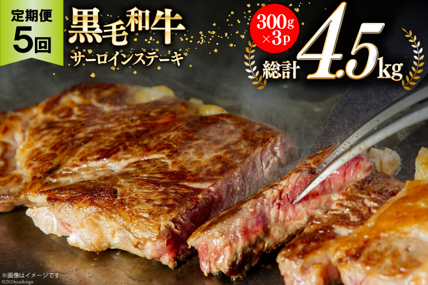 5回 定期便 宮崎県産 黒毛和牛 サーロイン ステーキ 300g ×3×5ヶ月 合計4.5kg [サンアグリフーズ 宮崎県 美郷町 31ba0034] 小分け 冷凍 送料無料 国産 牛 肉 霜降り BBQ バーベキュー キャンプ 真空包装 スペース 収納 サシ がっつり 脂