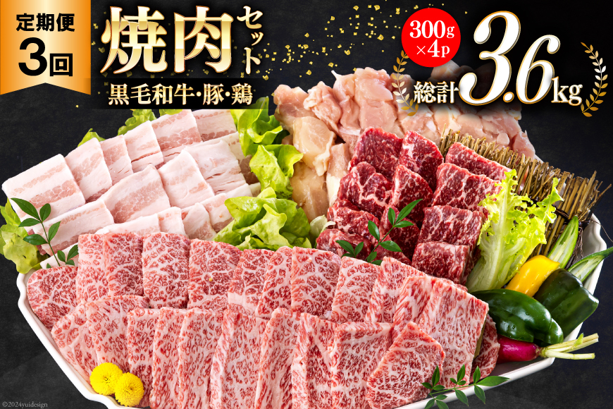 牛肉 3回 定期便 宮崎県産 焼肉 セット 黒毛和牛カルビ 豚バラ 若鶏モモ 各 300g 計 1.2kg ×3回 [サンアグリフーズ 宮崎県 美郷町 31ba0036] 小分け 冷凍 BBQ 詰め合わせ 経産牛 もも肉 モモ 牛 豚 鶏 カルビ バラ肉