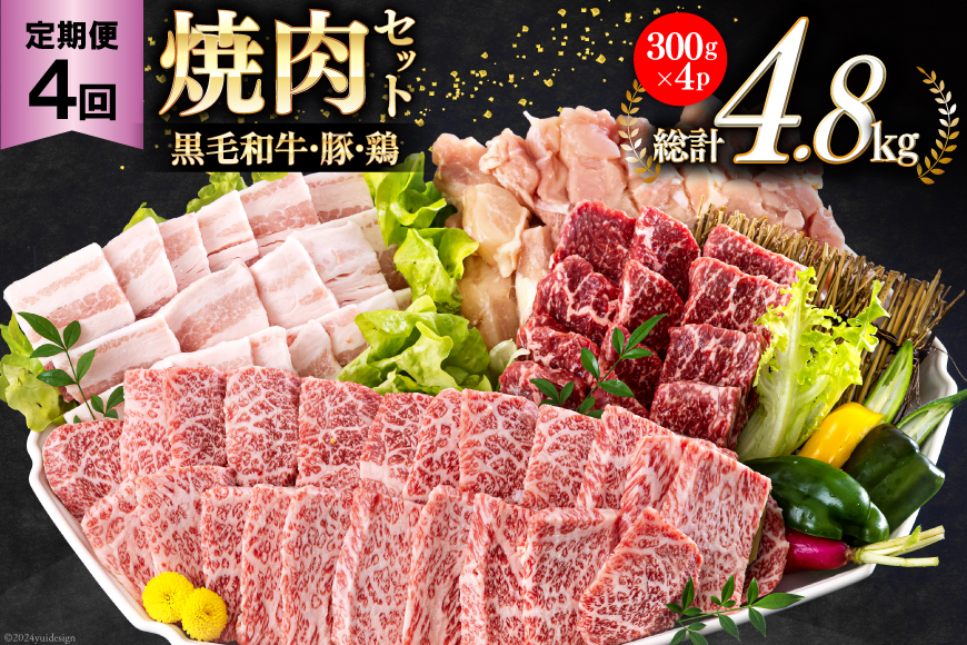 4回 定期便 宮崎県産 焼肉 セット 黒毛和牛 モモ カルビ 豚バラ 若鶏 モモ 合計4.8kg 各300g [サンアグリフーズ 宮崎県 美郷町 31ba0037] 小分け 冷凍 送料無料 国産 BBQ バーベキュー キャンプ 普段使い 炒め物 丼 カット 詰め合わせ 経産牛