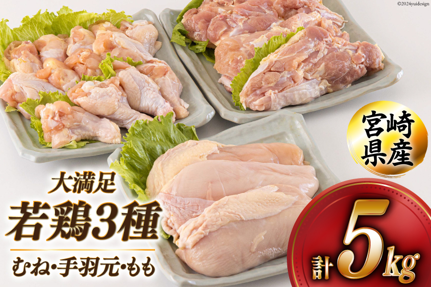 若鶏 むね 手羽元 もも 合計5kg 1kg包装 [アグリ産業匠泰 宮崎県 美郷町 31be0045] 小分け 鶏肉 冷凍 送料無料 炒め物 煮込み 調理 料理 大容量 真空 胸 ジューシー ヘルシー 唐揚げ からあげ チキン南蛮 照り焼き 甘辛煮 とり天 ヤンニョム チキン 普段使い 便利 セット 詰め合わせ 3種