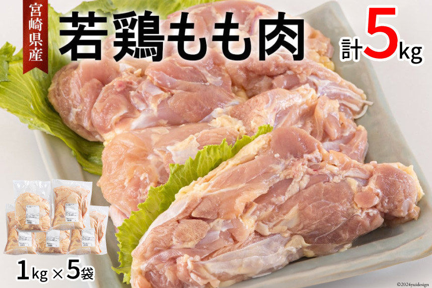 鶏肉 もも肉 宮崎県産 若鶏 もも 1kg × 5 計5kg [アグリ産業匠泰 宮崎県 美郷町 31be0061] 肉 鳥肉 とりにく 冷凍 小分け 個包装 モモ 鶏もも 鶏モモ