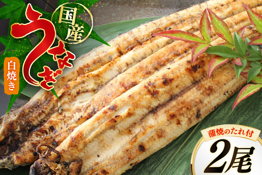 うなぎ 鰻 白焼き 2尾 たれ付き [オーチャンズ 宮崎県 美郷町 31bn0003] ウナギ 国産 蒲焼のたれ 付き タレ たれ 蒲焼 蒲焼き