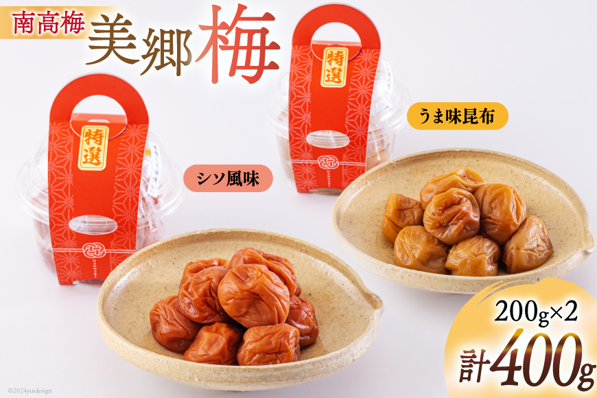 梅 南高梅 美郷梅使用 梅干し 昆布 シソ 風味 セット 3L サイズ 200g ×2 [農林産物直売所 美郷ノ蔵 宮崎県 美郷町 31ab0111] うめ ウメ 個包装 詰め合わせ