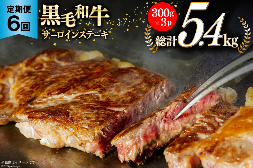 6回 定期便 宮崎県産 黒毛和牛 サーロイン ステーキ 300g ×3×6ヶ月 合計5.4kg [サンアグリフーズ 宮崎県 美郷町 31ba0035] 小分け 冷凍 送料無料 国産 牛 肉 霜降り BBQ バーベキュー キャンプ 真空包装 スペース 収納 サシ がっつり 脂