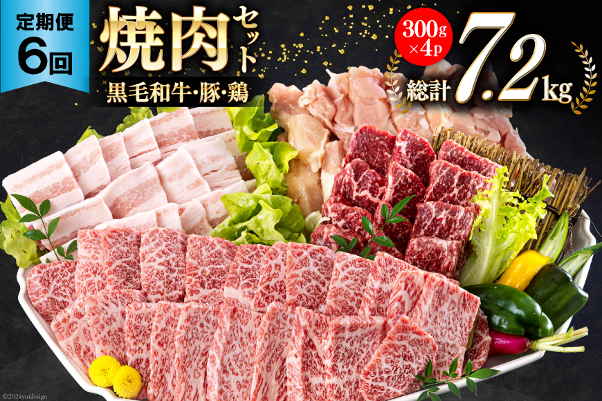 6回 定期便 宮崎県産 焼肉 セット 黒毛和牛 モモ カルビ 豚バラ 若鶏 モモ 合計7.2kg 各300g [サンアグリフーズ 宮崎県 美郷町 31ba0039] 小分け 冷凍 送料無料 国産 BBQ バーベキュー キャンプ 普段使い 炒め物 丼 カット 詰め合わせ 経産牛