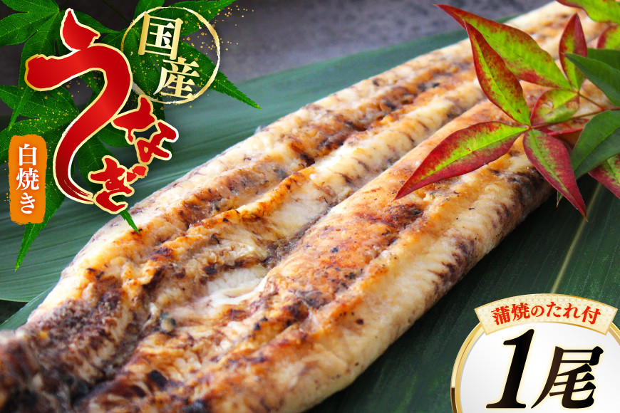 うなぎ 鰻 白焼き 1尾 たれ付き [オーチャンズ 宮崎県 美郷町 31bn0004] ウナギ 国産 蒲焼のたれ 付き タレ たれ 蒲焼 蒲焼き