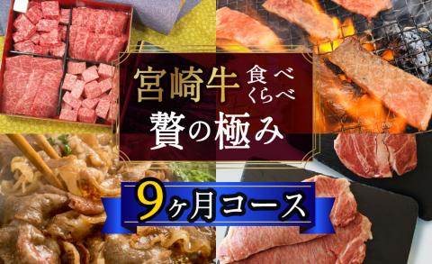31ag0040 宮崎牛食べ比べ贅の極み9ヶ月コース 合計5.48kg [定期便]