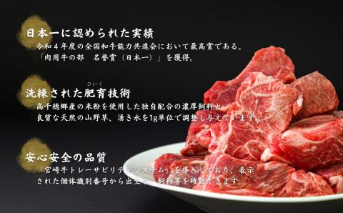 宮崎県産黒毛和牛A4等級以上 高千穂牛すね肉 800ｇ C11: 高千穂町ANAの