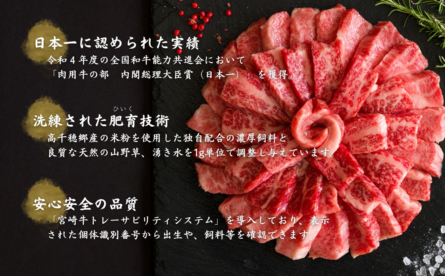 宮崎県産黒毛和牛A4等級以上 高千穂牛バラ肉 500g|  牛肉 肉 お肉 精肉 牛バラ A4 ブランド牛 国産牛 黒毛和牛 国産 国産牛肉 焼肉 炒めもの 料理  冷凍  アウトドア キャンプ グランピング BBQ 一人焼肉 |_Tk002-068