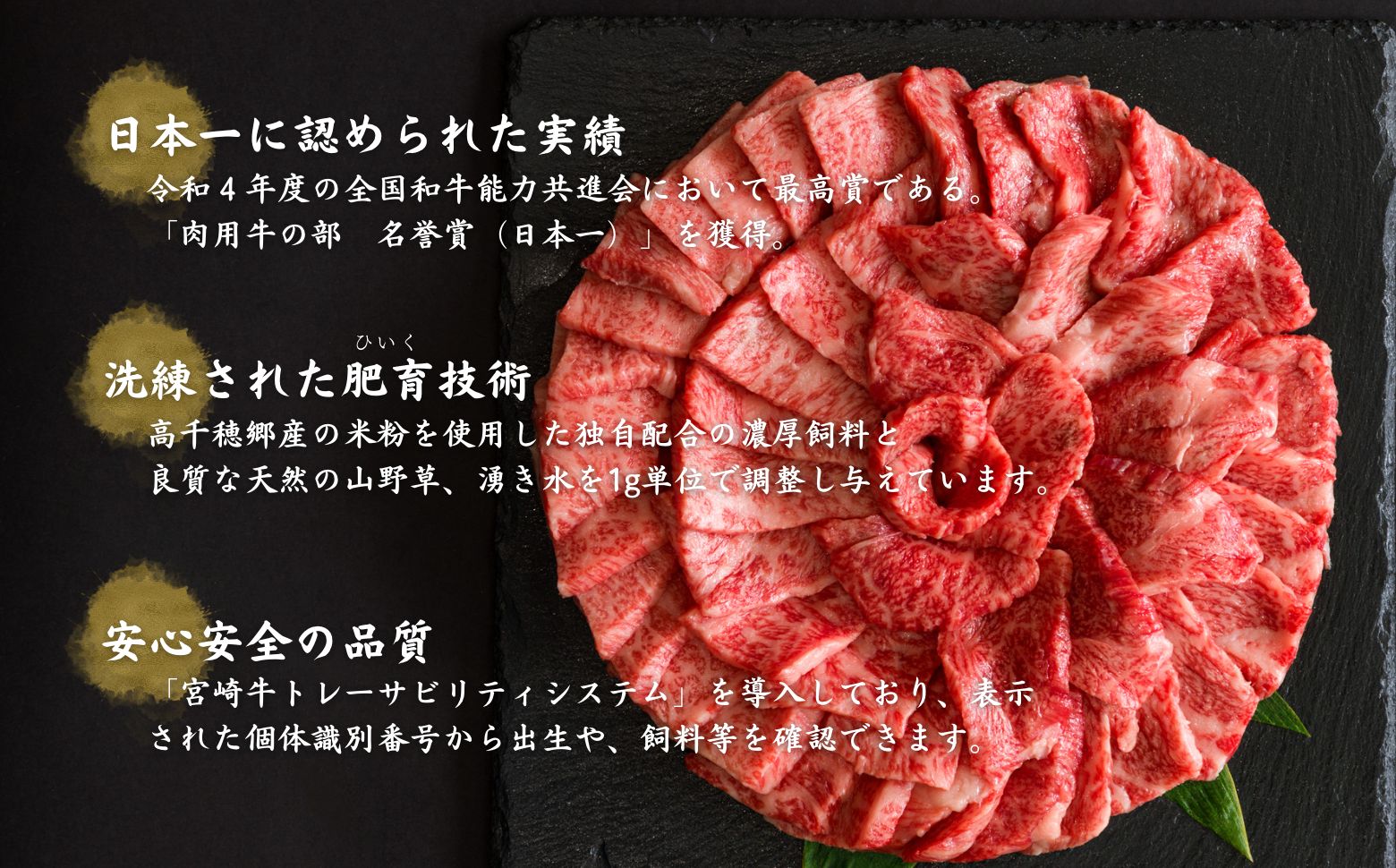 宮崎県産黒毛和牛A4等級以上 高千穂牛特選焼肉セット 800g (ロース&上カルビ各400g)|  牛肉 肉 お肉 精肉 ロース カルビ 国産 国産牛 ブランド牛 和牛 国産黒毛和牛 焼肉 セット 詰め合わせ 精肉セット 贈答 贈り物 一人焼肉 |_Tk002-070