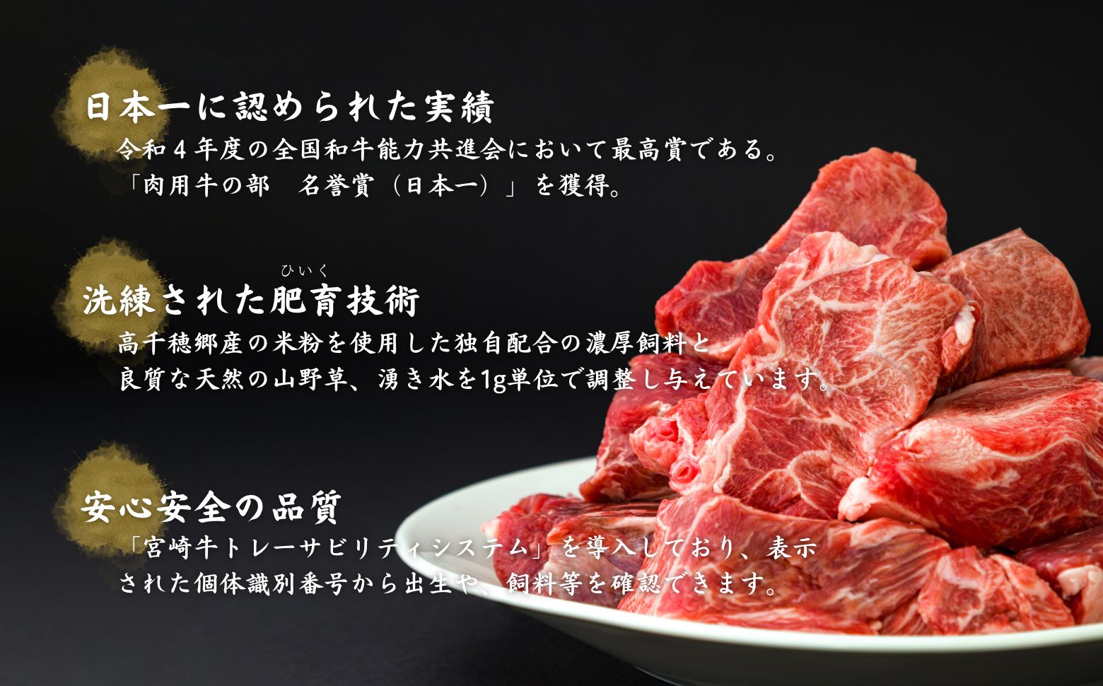 【12ヶ月定期便】 高千穂牛 すね肉 400g×2パック×12回| 牛肉 肉 お肉 精肉 定期便 定期 国産牛 ブランド牛 黒毛和牛 和牛 すね 牛すね肉 A4等級以上 宮崎県産 国産 贈答 贈り物 煮込み料理 シチュー カレー 普段使い おかず 冷凍 |_Tk002-t078