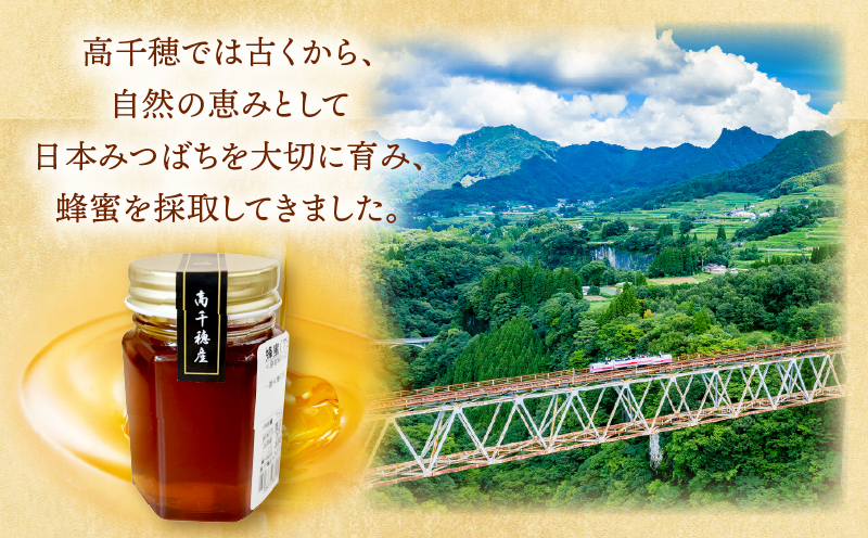 日本みつばち 高千穂の純粋蜂蜜 75g×1本|蜂蜜 はちみつ 日本みつばち 純粋蜂蜜 国産蜂蜜 天然蜂蜜 垂れ蜜 蜜蜂 希少 蜂蜜 濃厚 花 伝統製法 特産品 ふるさと納税 返礼品 宮崎県 高千穂町 | _Tk005-099-0751