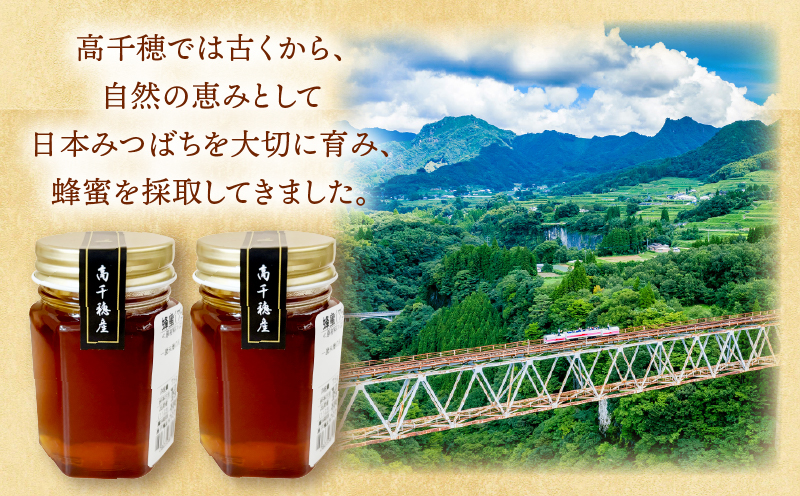 日本みつばち 高千穂の純粋蜂蜜 75g×2本|蜂蜜 はちみつ 日本みつばち 純粋蜂蜜 国産蜂蜜 天然蜂蜜 垂れ蜜 蜜蜂 希少 蜂蜜 濃厚 花 伝統製法 特産品 ふるさと納税 返礼品 宮崎県 高千穂町 | _Tk005-099-0752