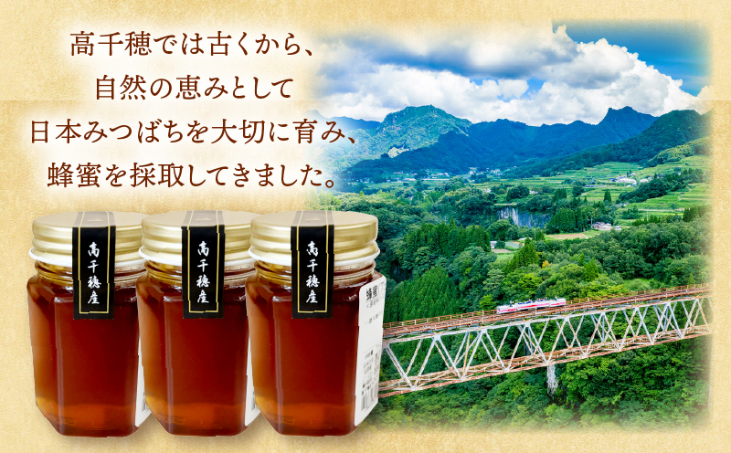 日本みつばち 高千穂の純粋蜂蜜 75g×3本|蜂蜜 はちみつ 日本みつばち 純粋蜂蜜 国産蜂蜜 天然蜂蜜 垂れ蜜 蜜蜂 希少 蜂蜜 濃厚 花 伝統製法 特産品 ふるさと納税 返礼品 宮崎県 高千穂町 | _Tk005-099-0753
