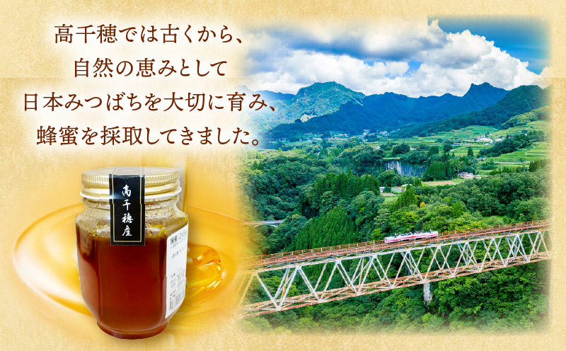 日本みつばち 高千穂の純粋蜂蜜 245g×1本|蜂蜜 はちみつ 日本みつばち 純粋蜂蜜 国産蜂蜜 天然蜂蜜 垂れ蜜 蜜蜂 希少 蜂蜜 濃厚 花 伝統製法 特産品 ふるさと納税 返礼品 宮崎県 高千穂町 | _Tk005-099-2451