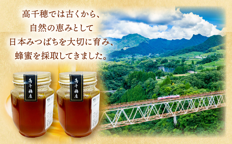 日本みつばち 高千穂の純粋蜂蜜 245g×2本|蜂蜜 はちみつ 日本みつばち 純粋蜂蜜 国産蜂蜜 天然蜂蜜 垂れ蜜 蜜蜂 希少 蜂蜜 濃厚 花 伝統製法 特産品 ふるさと納税 返礼品 宮崎県 高千穂町 | _Tk005-099-2452