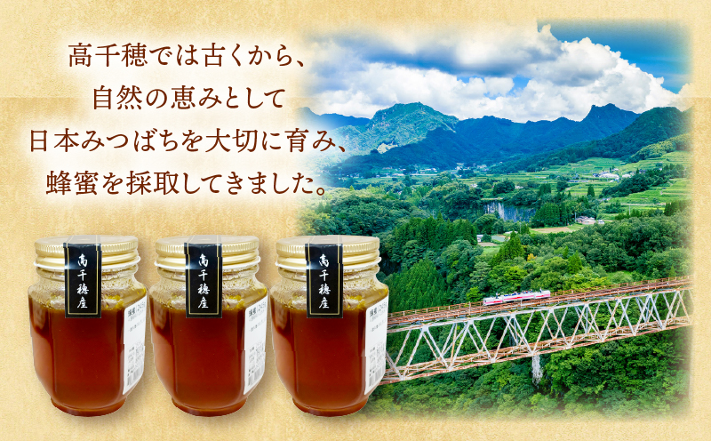 日本みつばち 高千穂の純粋蜂蜜 245g×3本|蜂蜜 はちみつ 日本みつばち 純粋蜂蜜 国産蜂蜜 天然蜂蜜 垂れ蜜 蜜蜂 希少 蜂蜜 濃厚 花 伝統製法 特産品 ふるさと納税 返礼品 宮崎県 高千穂町 | _Tk005-099-2453