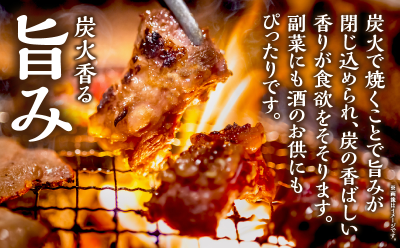 【居酒屋左馬監修】豚の炭火焼_Tk005-114