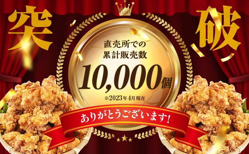 【6か月定期便】レンジでプロ味！からあげ6か月定期便_Tk005-t044