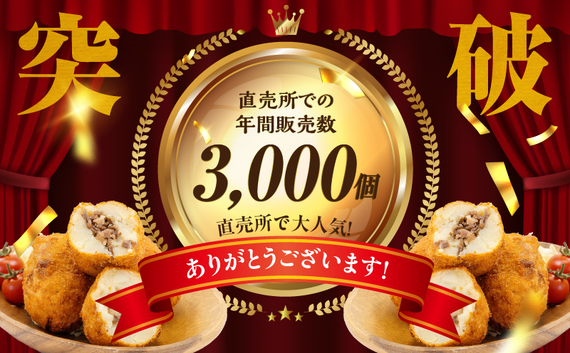 【3か月定期便】レンジでプロ味！黒毛和牛100％コロッケ3か月定期便 | コロッケ 牛肉コロッケ 高千穂牛 宮崎牛 黒毛和牛 和牛 惣菜 お惣菜 おかず おやつ おつまみ お弁当 小分け 個包装 個装 便利 使い勝手 簡単調理 レンジ 冷凍 グルメ おすそ分け 宮崎県 高千穂町 |_Tk005-t045