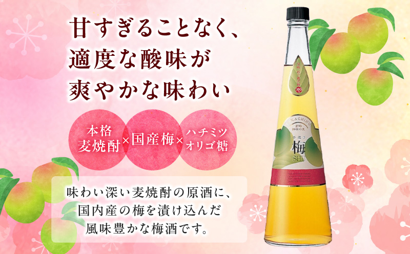 手造り梅酒 14% 720ml×2本セット | 梅酒 酒 アルコール 梅酒セット セット 詰め合わせ ロック ストレート 贈答 贈答用 ギフト プレゼント お祝い 祝い 内祝い 記念日 誕生日 お取り寄せ グルメ 家飲み 宅飲み 飲み会 国産 宮崎県 高千穂町 |_Tk007-028