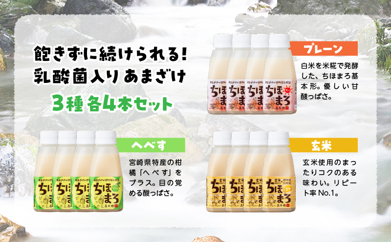 乳酸菌入りあまざけ ちほまろ 150g　12本セット【プレーン へべす 玄米】 | ノンアルコール 贈答 贈り物 おすそ分け 日課 ドリンク 飲み物 乳酸飲料 飲料 宮崎県 高千穂町 |_Tk015-017-b12