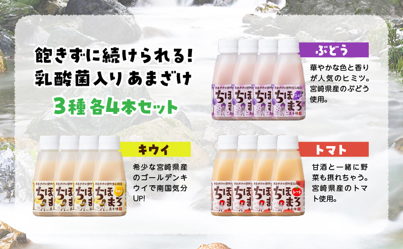 乳酸菌入りあまざけ ちほまろ 150g　12本セット【キウイ トマト ぶどう】 | ノンアルコール 贈答 贈り物 おすそ分け 日課 ドリンク 飲み物 乳酸飲料 飲料 宮崎県 高千穂町 |_Tk015-017-c12