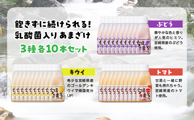 乳酸菌入りあまざけ ちほまろ 150g　30本セット【キウイ トマト ぶどう】 | セット 飲み比べ 味比べ 詰め合わせ 無添加 砂糖不使用 日課 ノンアルコール 飲み物 ドリンク 飲料 お歳暮 贈り物 ギフト プレゼント 宮崎県 高千穂町 |_Tk015-031-c30
