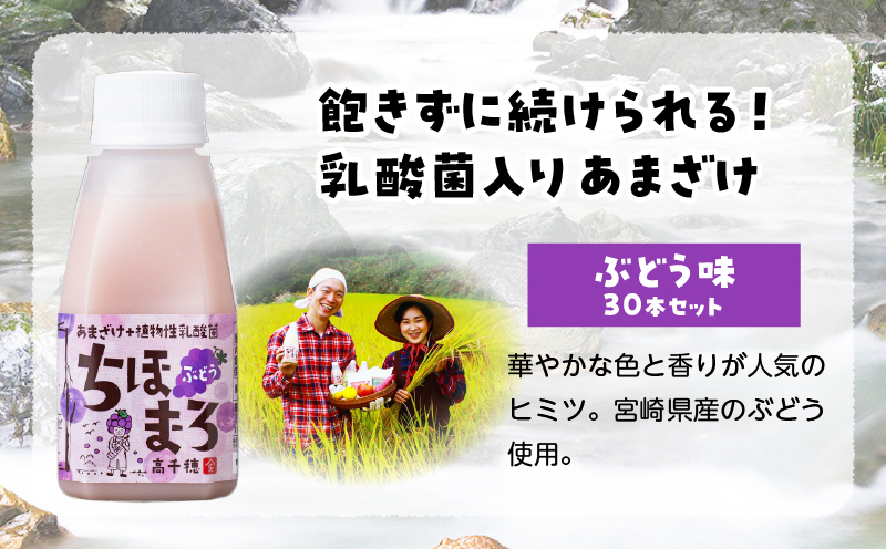 乳酸菌入りあまざけ ちほまろ 150g　30本セット【ぶどうのみ】 | セット 飲み比べ 味比べ 詰め合わせ 無添加 砂糖不使用 日課 ノンアルコール 飲み物 ドリンク 飲料 お歳暮 贈り物 ギフト プレゼント 宮崎県 高千穂町 |_Tk015-031-g30