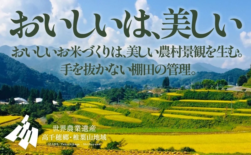 《令和7年産　新米》13代目甲斐長衛門が選び抜いた 高千穂産 ひのひかり 長衛門米 5kg| ヒノヒカリ お米 精米 白米 米 白ご飯 ごはん おにぎり おむすび 米袋 農作物 令和7年 国産 宮崎県産 高千穂町産 普段使い おすすめ お取り寄せ 特産品 |_Tk019-028
