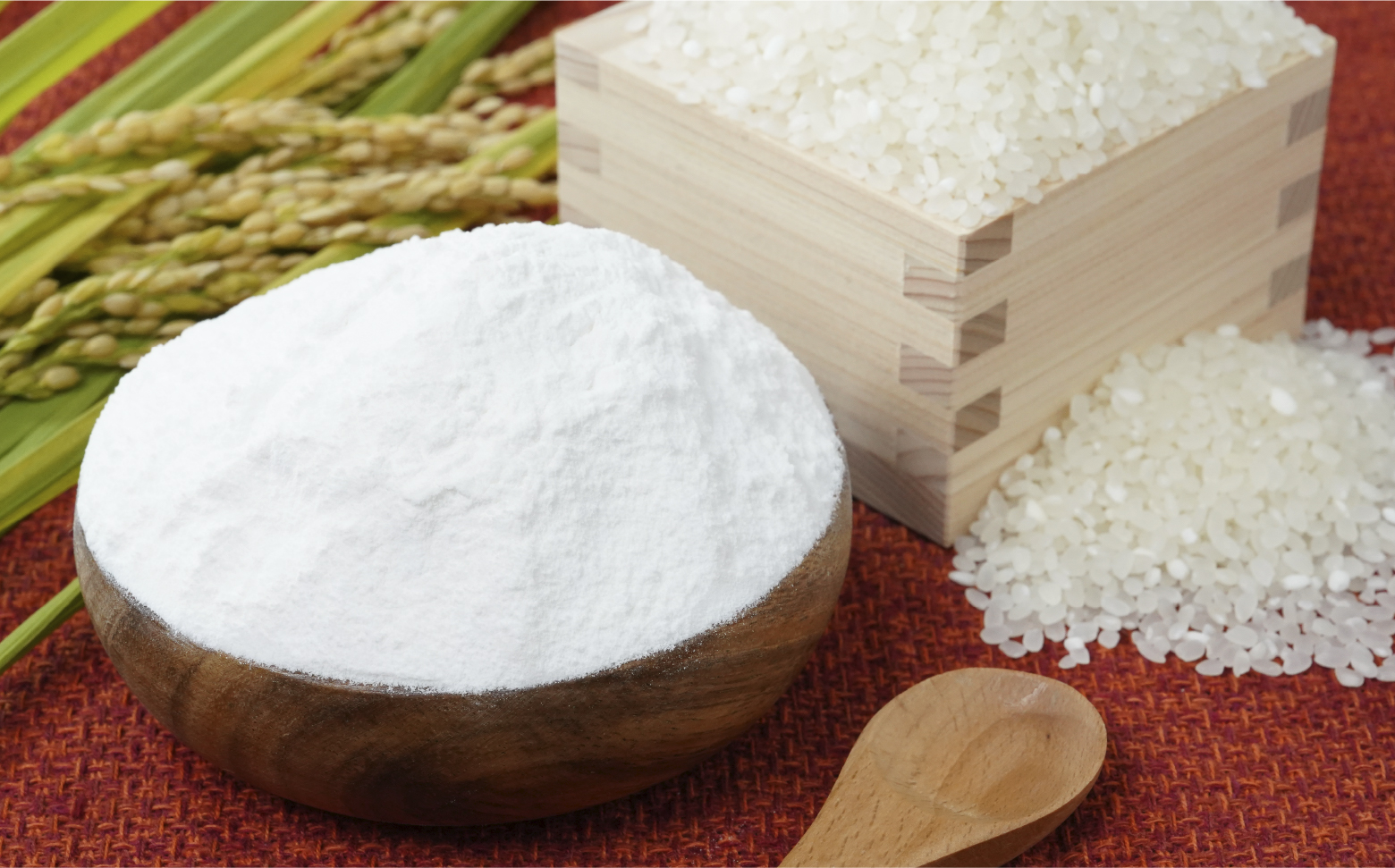 高千穂郷産 米粉 800g| グルテンフリー 国産 料理 アレンジ バナナケーキ シフォンケーキ ホワイトソース 米粉パン 米粉スイーツ 米粉料理 食生活 低GI 普段使い 使い勝手 ジップ付き チャック付き 高千穂町 岩戸精米所 |_Tk019-036