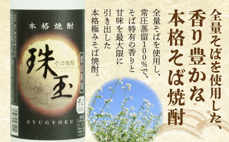 そばの香り薫るセット《本格そば焼酎 珠玉900ml／1本》+《有機栽培高千穂十割そば／2袋セット》_Tk023-033