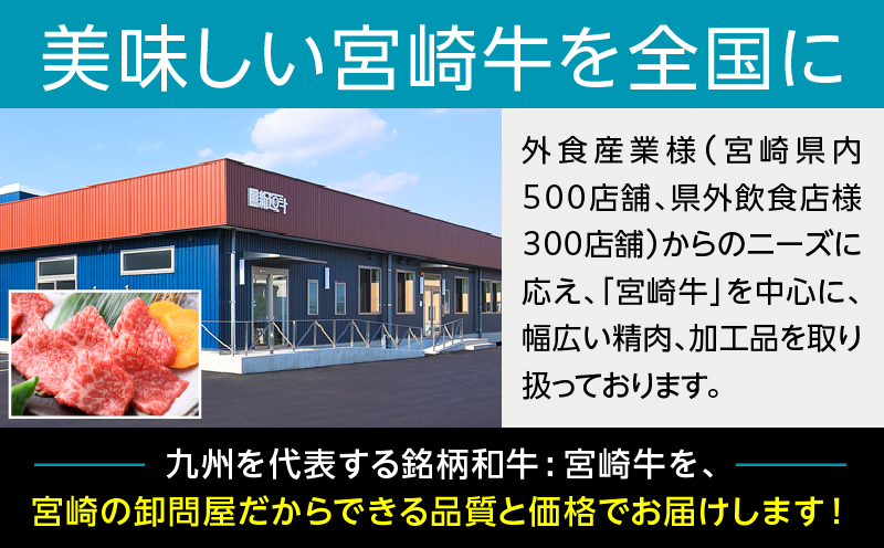 宮崎牛 こま肉・ミンチセット1kg | 牛肉 肉 お肉 精肉 ミンチ 挽肉 精肉セット セット 詰め合わせ 国産牛 黒毛和牛 和牛 ブランド牛 贈答 贈り物 ギフト グルメ お取り寄せ 炒め物 料理 アレンジ 牛丼 野菜炒め メンチカツ コロッケ 普段使い BBQ 宮崎県 高千穂町 |_Tk024-019