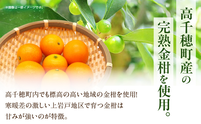 高千穂きんかんジャム3本セット | 金柑 フルーツ 果物 柑橘 柑橘系 柑橘類 ジャム ジャムセット マーマレード 手作りジャム パン カナッペ 贈答 贈り物 ギフト 国産 宮崎県産 高千穂町産 特産品 グルメ お取り寄せ おすすめ 瓶 宮崎県 高千穂町 | _Tk050-004