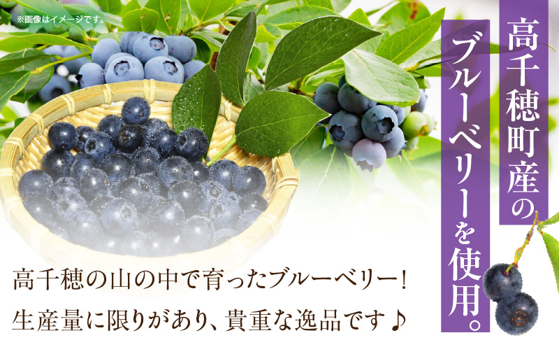 高千穂ブルーベリージャム3本セット | ブルーベリー フルーツ 果物 ジャム ジャムセット マーマレード 手作りジャム パン カナッペ 贈答 贈り物 ギフト 国産 宮崎県産 高千穂町産 特産品 グルメ お取り寄せ おすすめ 瓶 宮崎県 高千穂町 | _Tk050-005