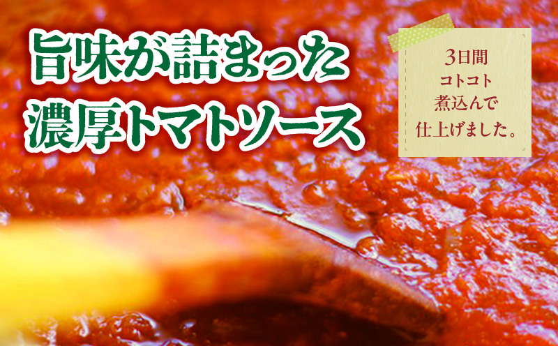 高千穂産完熟トマト使用 濃厚トマトソース3本セット | トマトソース ソース トマト 完熟トマト 完熟トマトソース セット 詰め合わせ 普段使い 使い勝手 小分け パウチ 料理 パスタ ピザ トースト グルメ お取り寄せ おすすめ 宮崎県 高千穂町 | _Tk050-009