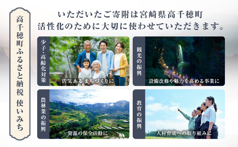 神話の里 高千穂町への応援寄附金【1,000円】（返礼品なし） 宮崎県 高千穂町_Tk001-012