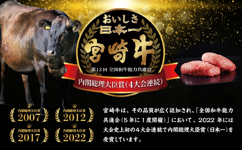 宮崎県産黒毛和牛A4等級以上 高千穂牛 100％使用！ 肉汁あふれる手作り ハンバーグ 6個入×1パック 計780g_Tk002-061-01