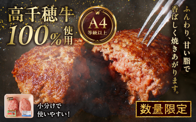 宮崎県産黒毛和牛A4等級以上 高千穂牛 100％使用！ 肉汁あふれる手作り ハンバーグ 合計10個 2個入×5パック 計1.3kg|  高千穂牛 高千穂牛ハンバーグ 和牛ハンバーグ 人気 牛肉100％ 和牛 牛 牛肉 肉 普段使い パック 冷凍 惣菜 お惣菜 贈答 贈り物 パーティー ギフト クリスマス BBQ お弁当 おかず 料理 簡単調理 プレゼント 手作り |_Tk002-061