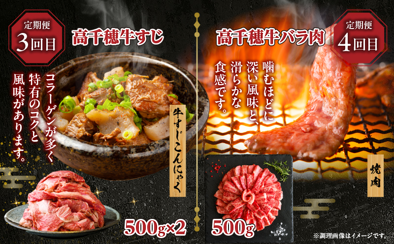 【6か月定期便】高千穂牛煮込み料理6か月定期便| 高千穂牛 牛肉 肉 お肉 定期便 定期 国産牛 ブランド牛 和牛 すね肉 ロース スライス 煮込み カレー ビーフシチュー 国産 贈答 贈り物 普段使い |_Tk002-t087