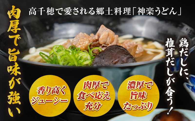 乾燥しいたけ 40g×6袋 240g | 椎茸 小分け パック 小袋 個包装 個別包装 出汁取り 使い切り 使い勝手 普段使い お吸い物 きのこ キノコ類 干ししいたけ 乾しいたけ 原木栽培 乾燥しいたけ 常温 グルメ お取り寄せ おすすめ 宮崎県 高千穂町 |_Tk004-039