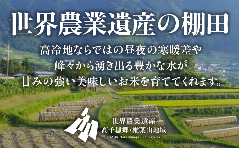 《令和7年産　新米》JA高千穂地区 ひのひかり10kg | 高千穂産 ひのひかり 10kg 5kg 2袋 米 お米 白米 ごはん 白飯 精米 ひのひかり 国産 宮崎県産  単一原料米 農作物 農産物 おすそ分け 普段使い 日常 炭水化物 主食 贈答 贈り物 ギフト プレゼント おすすめ 宮崎県 高千穂町 |_Tk004-047